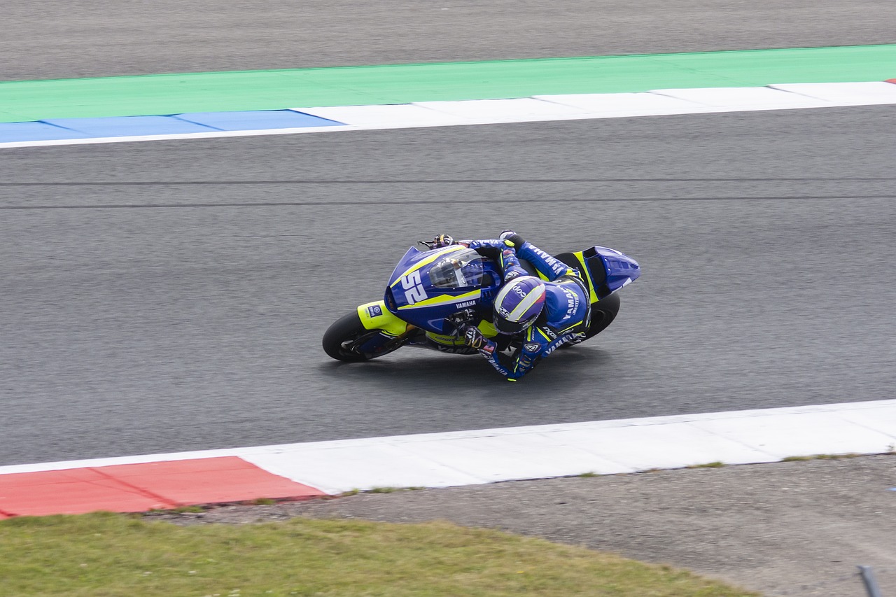 在欧冠中的 在欧冠中的